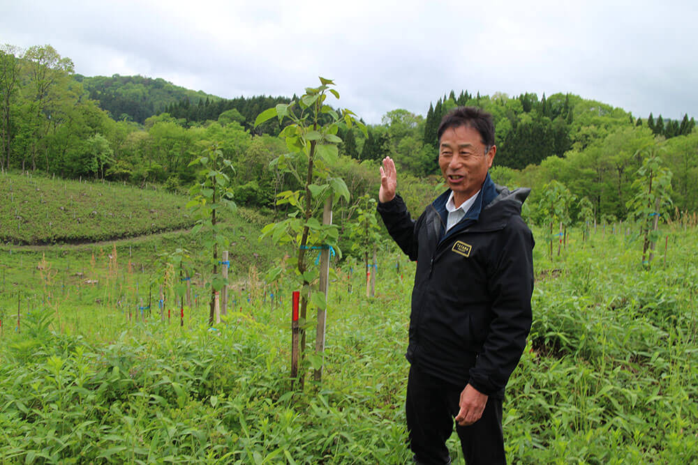 山を案内する、たなべたたらの里 山林部のSさん